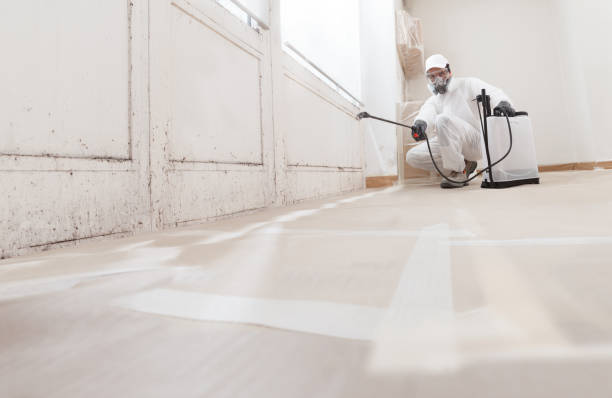 24/7 Emergency Mold Testing experts in Fort Bragg, NC