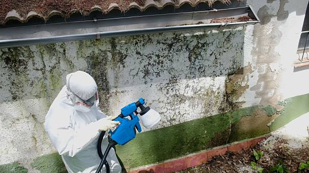 Top rated local Mold Remediation specialists in Fort Bragg, NC